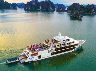 7-Hour Experience on Sea Octopus